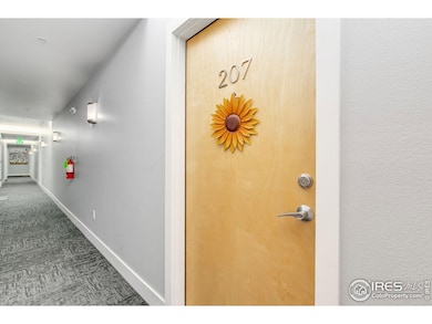 204 Maple St unit 207, Fort Collins, CO 80521 - photo 4