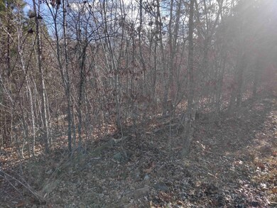 0000 Sunnyland Rd, Mountain View, AR 72560 - photo 6