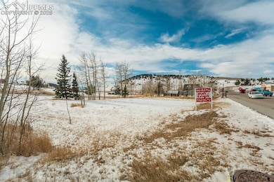 0 W Carr Ave unit 5252158, Cripple Creek, CO 80813 - photo 2
