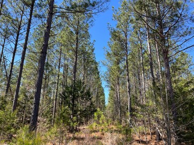 0 Harley Rucker Rd unit 19785832, Elberton, GA 30635 - photo 6