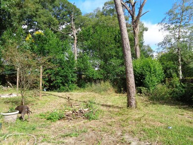 8421 Jacinto St, Jacksonville, FL 32211 - photo 2