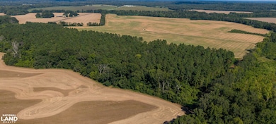 001 Smith Station Rd, Edwards, MS 39066 - photo 6
