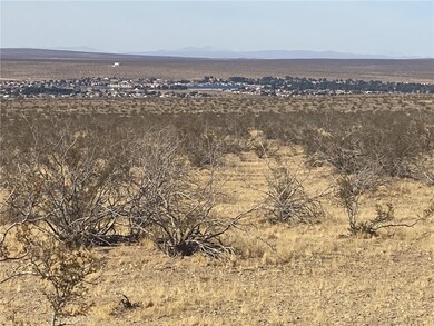 0 Delmonico Rd unit TR24226685, Oro Grande, CA 92368 - photo 3