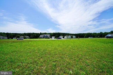 20229 W Piney Grove Rd, Georgetown, DE 19947 - photo 3