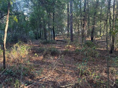 0 SW 66 St unit MFROM714495, Ocala, FL 34481 - photo 4