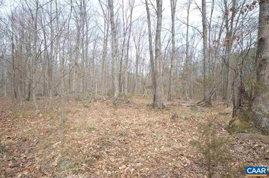 0 Twymans Mill Rd unit 599973, Madison, VA 22719 - photo 6