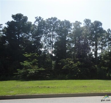 3710 Winding Way, Tyler, TX 75707 - photo 2