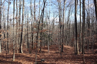 423 Hadley Rd, Stony Creek, NY 12878 - photo 4