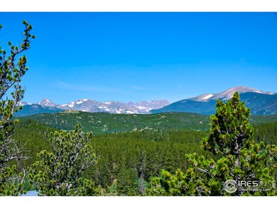 0 Pine Cone Cir unit RECIR1037889, Ward, CO 80481 - photo 4