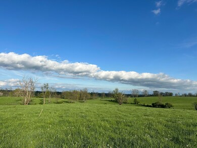 3489 Cynthiana Rd, Georgetown, KY 40324 - photo 7