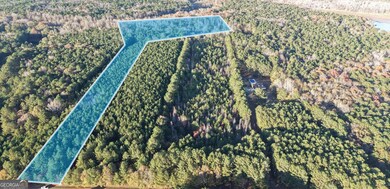 LOT #1 S Hampton Annex, Hampton, GA 30228 - photo 2