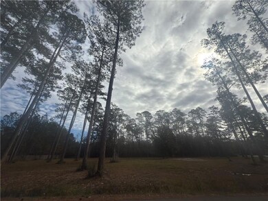 61016 Nehl St, Lacombe, LA 70445 - photo 5