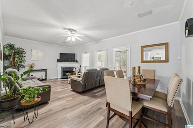 716 3rd St NE, Alabaster, AL 35007 - photo 5