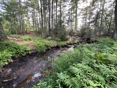 Lot # 9 Cranberry Way, Bowdoinham, ME 04008 - photo 4