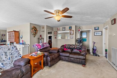 254 Meadowview Ln, Bean Station, TN 37708 - photo 6