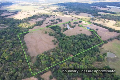 000 County Road 1155, Brashear, TX 75420 - photo 4