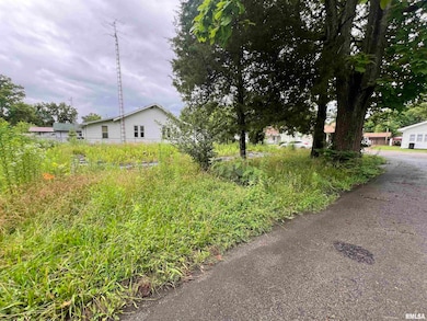 218 Elm St, Zeigler, IL 62999 - photo 3