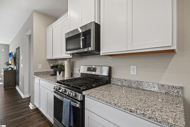 772 Spring Orchard Dr, Lyman, SC 29365 - photo 4