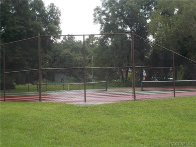 3378 N Chandler Dr, Hernando, FL 34442 - photo 5