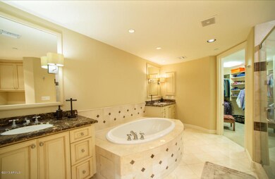 Lavish master bathroom