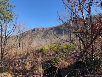 33 Dobsons Knob Loop Rd unit 33, North Cove, NC 28752 - photo 5