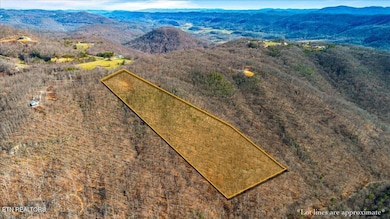 183 Persimmon Ln, Pioneer, TN 37847 - photo 5