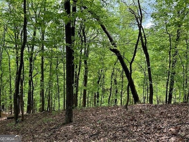 View of local wilderness featuring a wooded view