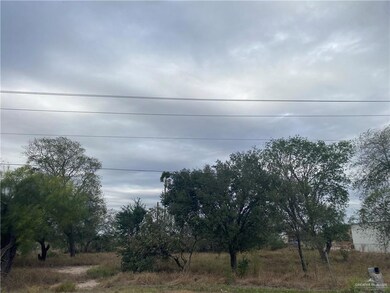 905 E Davis Rd, Edinburg, TX 78542 - photo 4