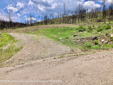 200 Alpine Village Rd, Ruidoso, NM 88345 - photo 3