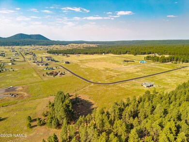 9199 Ranch at the Peaks Way, Flagstaff, AZ 86001 - photo 5