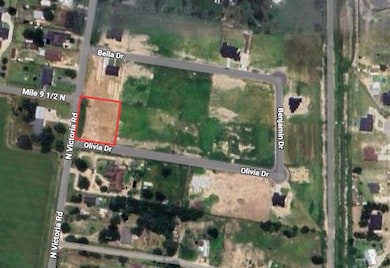 0 Olivia Dr, Midway North, TX 78537 - photo 3