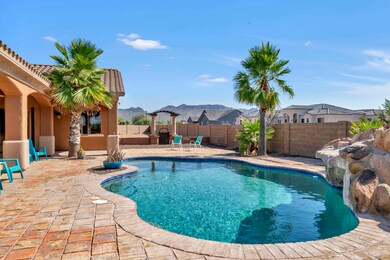 Tropical back yard