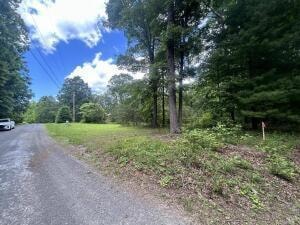 521 Shady Acres Dr, Hardy, VA 24101 - photo 3