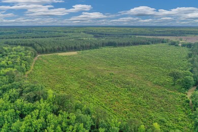 DJI_0659