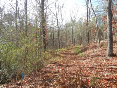70 fox run 172