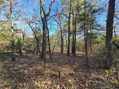 26000 Bokoshe Mountain Ln, Bokoshe, OK 74930 - photo 2
