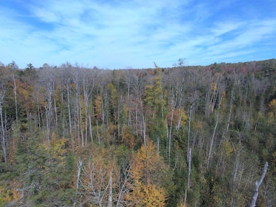 0 Thomas Rd unit 32.1 5052957, Lunenburg, VT 05906 - photo 4