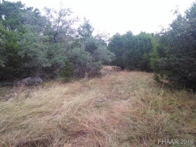 2753 Fushia Rd, Copperas Cove, TX 76522 - photo 5