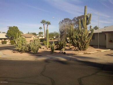 FRONT MATURE LANDSCAPING
