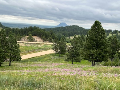 Lot 30 Summit Pass unit Dakota Highland Esta, Whitewood, SD 57793 - photo 2