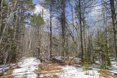 0 Tamarack Trail unit 1409037, Camden, ME 04843 - photo 3