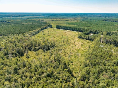 TBD Pitch Landing Rd, Conway, SC 29527 - photo 7