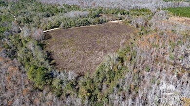 xx1 Seay Rd, Cottondale, FL 32431 - photo 7