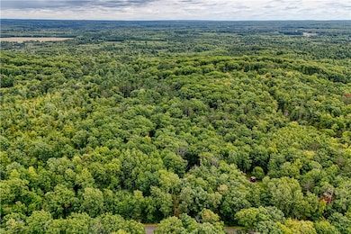 6772 5th St, Springbrook, WI 54875 - photo 6