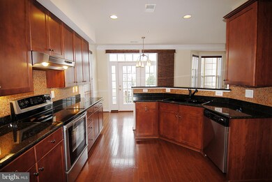 13631 Venturi Ln unit 163, Herndon, VA 20171 - photo 6