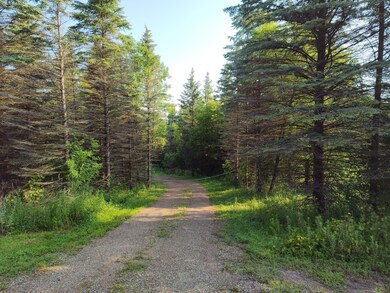 7077 10th Ave SW, La Grand Township, MN 56308 - photo 2