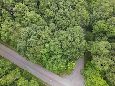 138 Day Lily Cir, Terra Alta, WV 26764 - photo 3