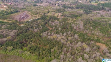 0 Armstrong Mountain Ln unit 21405929, Talladega, AL 35160 - photo 5