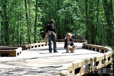 3783 Anslow Dr, Leland, NC 28451 - photo 7