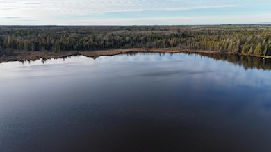 DJI_20240117051458_0127_D